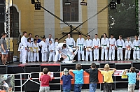 ukazky 2012__18.JPG